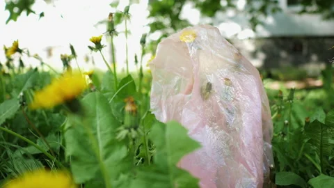 Plastic pollution concept. The package on a flower in the grass in the park Stock Footage 154136537