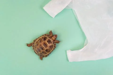 Plastic pollution concept 스톡 사진