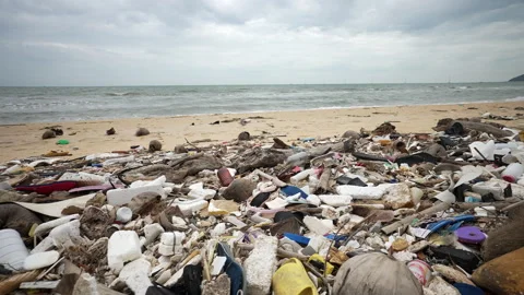 Plastic Pollution Contaminating Beautiful Beach. Video stock 311370312