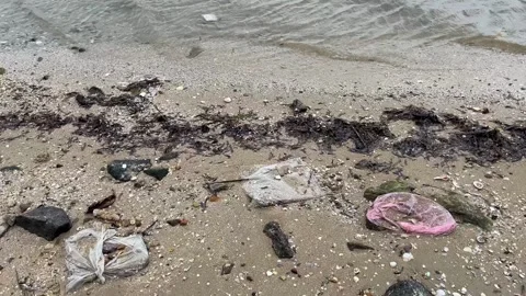 Plastic Pollution Crisis on Sandy Shores Stock Footage 260162684
