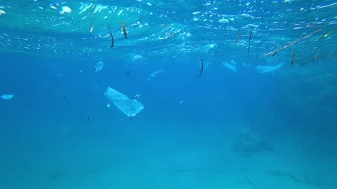 Plastic pollution of the environment Stock Footage 149184937