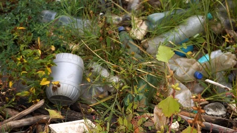 Plastic pollution of the environment. Plastic bottles and other non-degradable Stock Footage 116996098