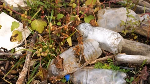 Plastic pollution of the environment. Plastic bottles and other non-degradable Stock Footage 116996157