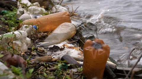 Plastic pollution of the environment. Plastic bottles and other non-degradable Stock Footage 116996252