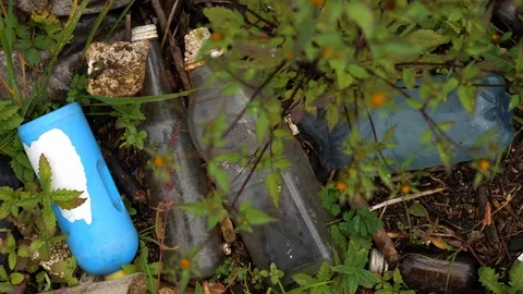 Plastic pollution of the environment. Plastic bottles and other non-degradable Stock Footage 116996371