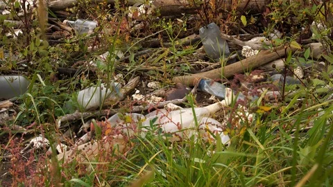 Plastic pollution of the environment. Plastic bottles and other non-degradable Stock Footage 116996606