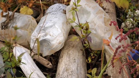Plastic pollution of the environment. Plastic bottles and other non-degradable Stock Footage 116996613