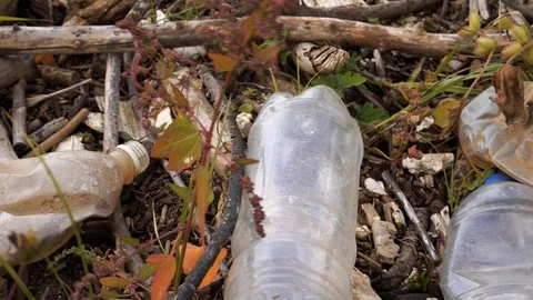 Plastic pollution of the environment. Plastic bottles and other non-degradable Stock Footage 116996642