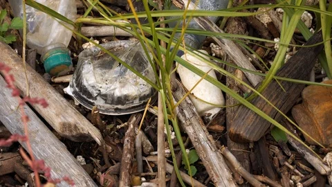 Plastic pollution of the environment. Plastic bottles and other non-degradable Stock Footage 116996657