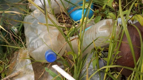 Plastic pollution of the environment. Plastic bottles and other non-degradable Stock Footage 116996705