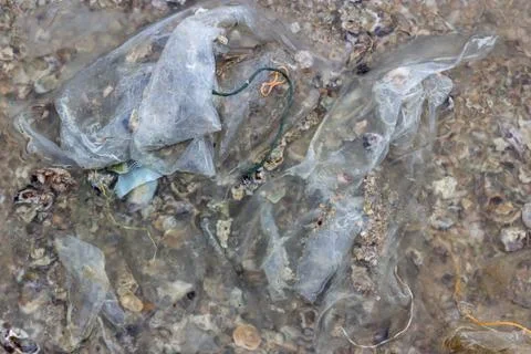 Plastic pollution environmental problem in ocean 스톡 사진