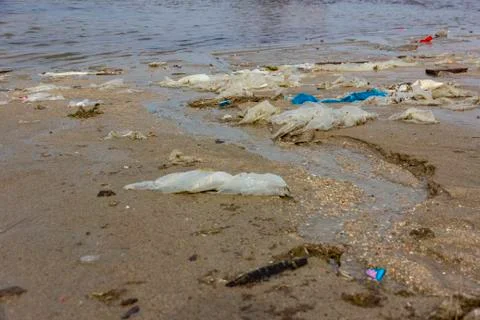 Plastic pollution environmental problem in ocean. Stock Photos