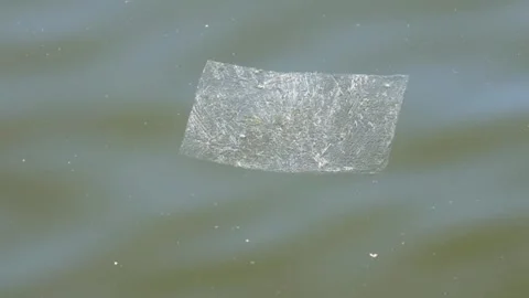 Plastic Pollution Floating Down a summer River in Slow Motion Vídeo Stock 340605250