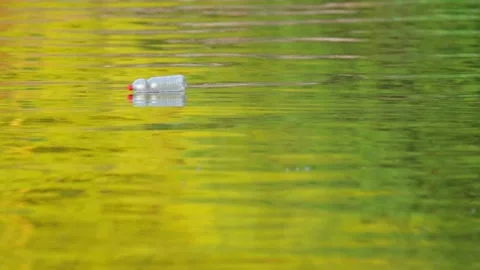 Plastic Pollution Floating Down a summer River in Slow Motion Stock Footage 340605253