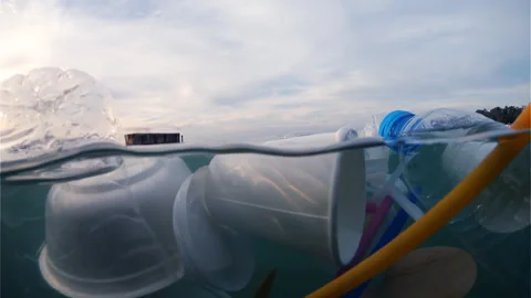 Plastic pollution floating on sea waves Stock Footage 317605839