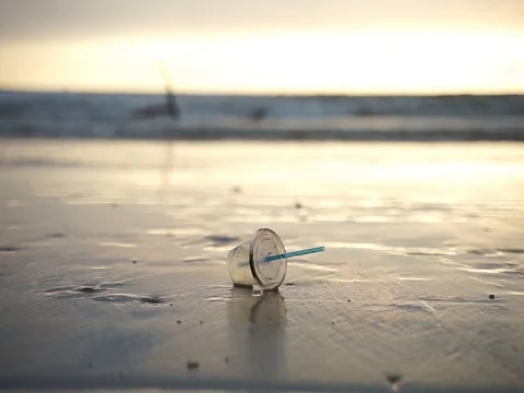 Plastic pollution Stock Footage 115781646