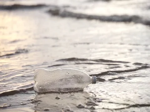  plastic pollution Stock Footage 123753535