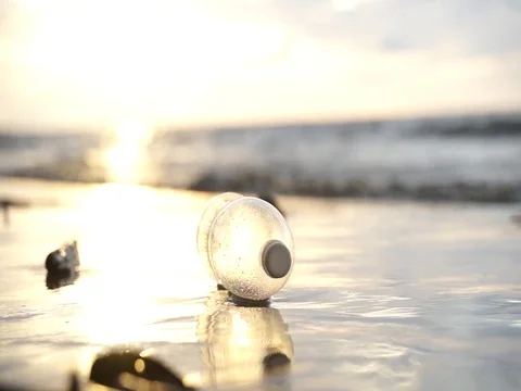  plastic pollution Stock-Footage 123753697