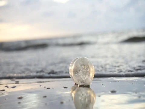  plastic pollution Stock Footage 123753815