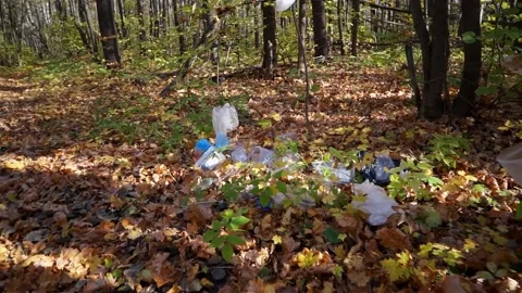 Plastic pollution of the forest and nature. Bottles, bags, and other plastic Stock Footage 140969211
