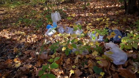 Plastic pollution of the forest and nature. Bottles, bags, and other plastic Stock Footage 140969221