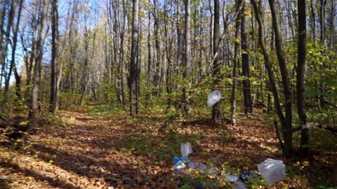 Plastic pollution of the forest and nature. Bottles, bags, and other plastic Stock Footage 140969835