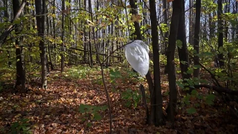 Plastic pollution of the forest and nature. Bottles, bags, and other plastic Stock Footage 140970068