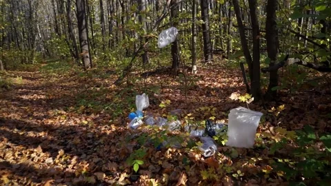 Plastic pollution of the forest and nature. Bottles, bags, and other plastic Stock Footage 140970080