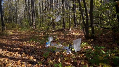 Plastic pollution of the forest and nature. Bottles, bags, and other plastic Stock Footage 140970140