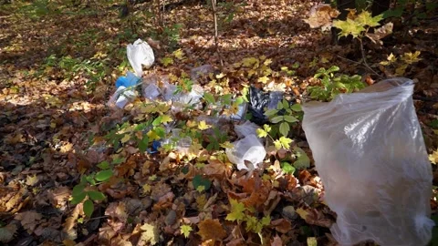 Plastic pollution of the forest and nature. Bottles, bags, and other plastic Stock Footage 140970273