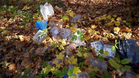 Plastic pollution of the forest and nature. Bottles, bags, and other plastic Stock Footage 140970289