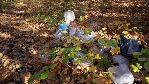 Plastic pollution of the forest and nature. Bottles, bags, and other plastic Stock Footage 140970312