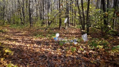 Plastic pollution of the forest and nature. Bottles, bags, and other plastic Stock Footage 140970328