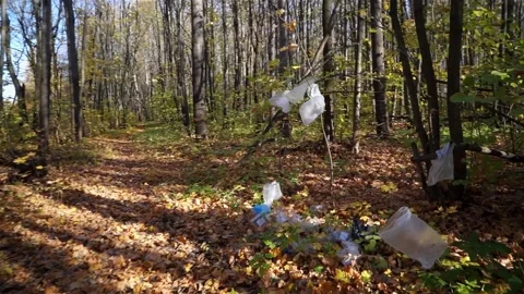 Plastic pollution of the forest and nature. Bottles, bags, and other plastic Stock Footage 141112554