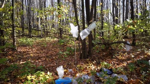 Plastic pollution of the forest and nature. Bottles, bags, and other plastic Stock Footage 141112573