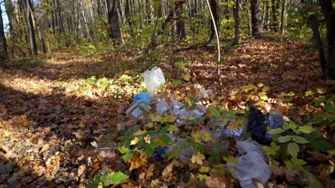 Plastic pollution of the forest and nature. Bottles, bags, and other plastic Stock Footage 141112615