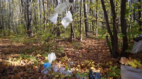 Plastic pollution of the forest and nature. Bottles, bags, and other plastic Stock Footage 141112631