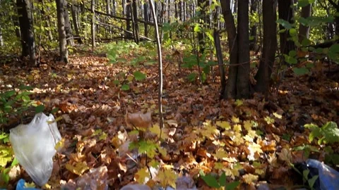 Plastic pollution of the forest and nature. Bottles, bags, and other plastic Stock Footage 141112650