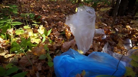 Plastic pollution of the forest and nature. Bottles, bags, and other plastic Stock Footage 141112669