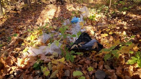 Plastic pollution of the forest and nature. Bottles, bags, and other plastic Stock Footage 141112686