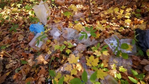 Plastic pollution of the forest and nature. Bottles, bags, and other plastic Stock Footage 141112702