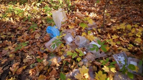 Plastic pollution of the forest and nature. Bottles, bags, and other plastic Stock Footage 141112725