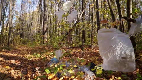 Plastic pollution of the forest and nature. Bottles, bags, and other plastic Stock Footage 141112738