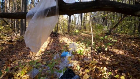 Plastic pollution of the forest and nature. Bottles, bags, and other plastic Stock Footage 141112747