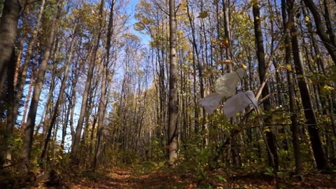 Plastic pollution of the forest and nature. Bottles, bags, and other plastic Stock Footage 141112785