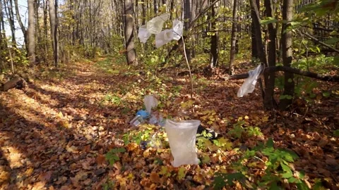 Plastic pollution of the forest and nature. Bottles, bags, and other plastic Stock Footage 141384380