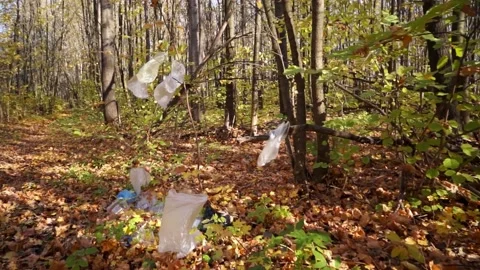 Plastic pollution of the forest and nature. Bottles, bags, and other plastic Stock Footage 141384383