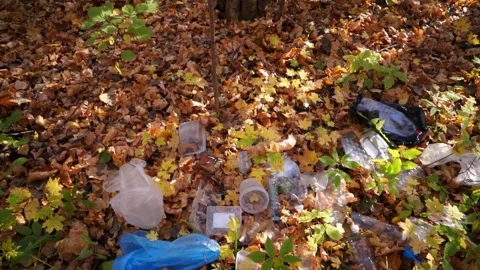 Plastic pollution of the forest and nature. Bottles, bags, and other plastic Stock Footage 141384476