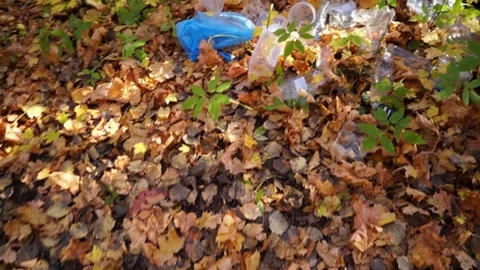 Plastic pollution of the forest and nature. Bottles, bags, and other plastic Stock Footage 141384515