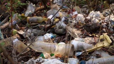 Plastic pollution of the forest and nature. Bottles, bags, and other plastic Stock Footage 142682442